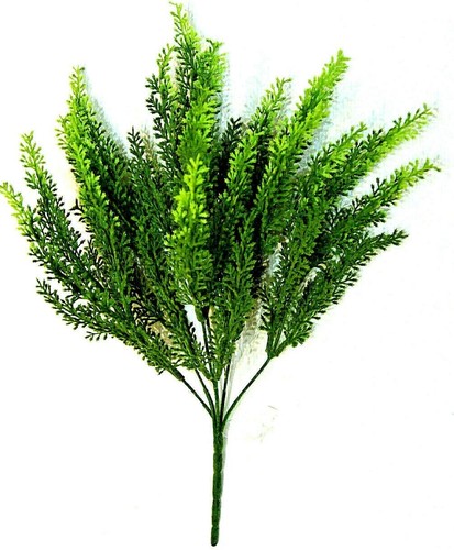 Palmen strauß palmwedel - palmen,