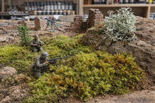 Moos & Flechten Mix 9 cm