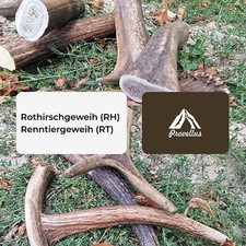 Hunde kauknochen hirschgeweih - hunde,