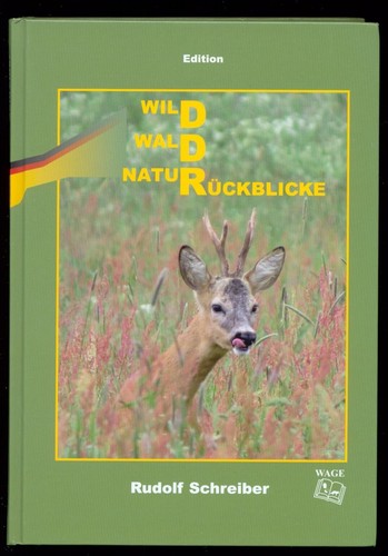 Wild wald natur - wald, natur,
