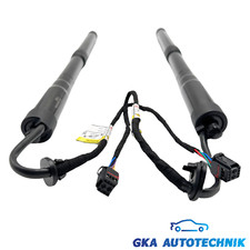 2x Elektrisch Gasfeder