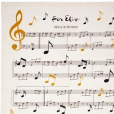 Die Spiegelburg Geschirrtuch