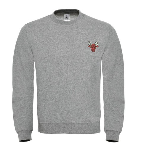 Chicago bulls basket - bulls, bestickte