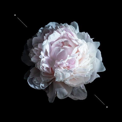 Parfum damen - parfum,