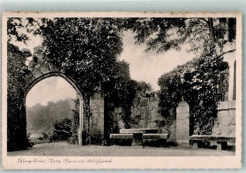 38087990 3320 ringelheim - -,