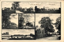 Ak Liebenau Geising Altenberg