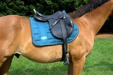 PRESTIGE ELASTIC PROFESSIONAL Springsattel , Sattel , Springreiten