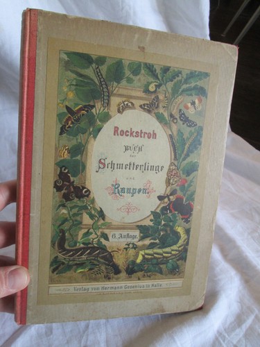 Alt antik rockstroh - buch, der