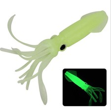 20x Squid Tintenfisch fluo