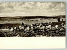 38151529 - 2111 Undeloh sign