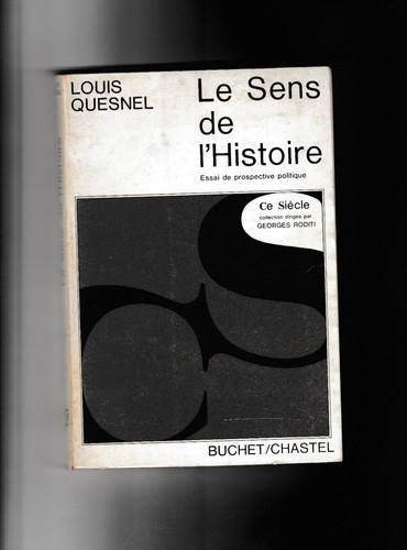 Der sinn geschichte - sinn, essay