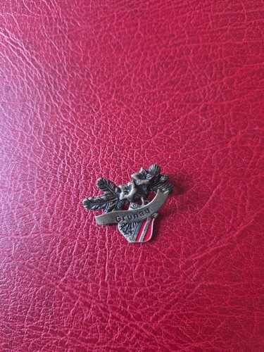 Alte anstecknadel hutnadel - ,