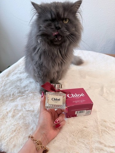 Chloé eau parfum - l'eau,