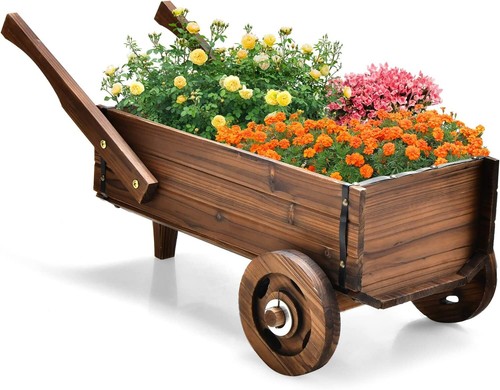 Blumenkarre pflanzschubkarre - blumenkarre,