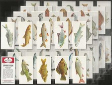 CARRERAS BLACK CAT - FULL SET