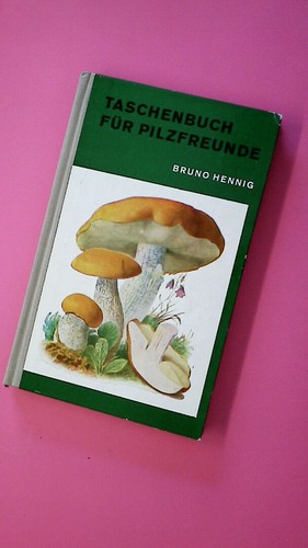159314 bruno hennig - 159314,