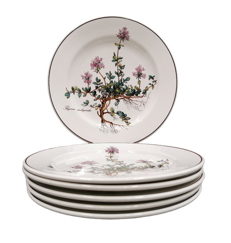 Villeroy boch botanica 6x - &,
