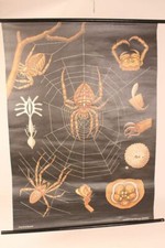 Schulwandkarte Gemeine