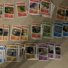 Ozeanien 2 - Wir tauchen auf