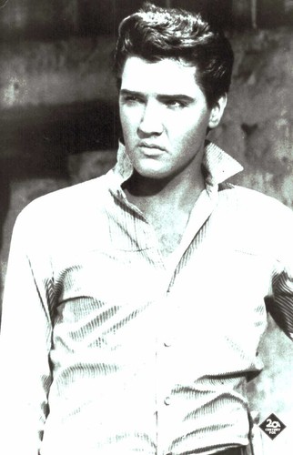 Elvis presley - ,