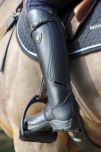 Mountain horse snowy river - snowy,