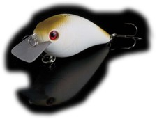 Sänger Iron Claw Doiyo KOBITO