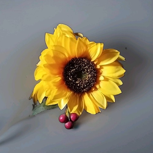 Lumida flora - lumida,