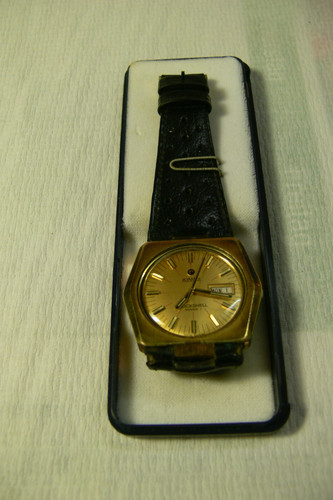 Roamer rockshell mark - mark, l