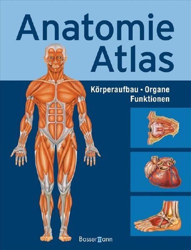 Anatomie atlas körperbau - anatomie-atlas,
