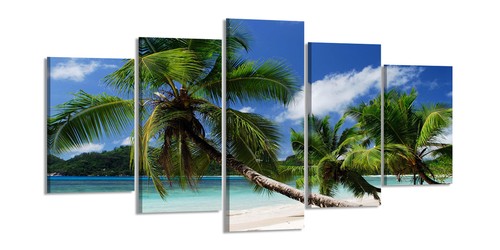 Bild tlg palmen strand - palmen,
