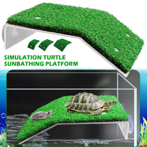 Aquarium schildkröte - aquarium,