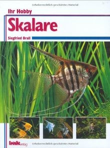 Skalare ihr hobby von - ihr,