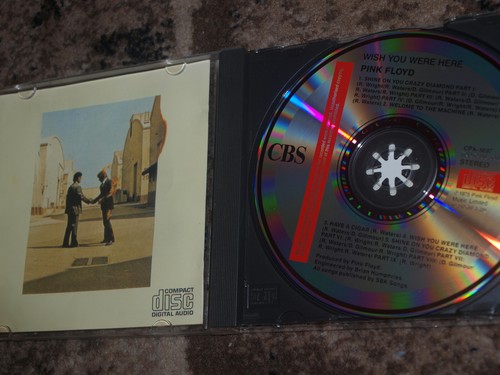 Pink floyd wish - -, were