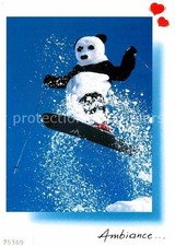 Skisport Monoski Pandabaer 