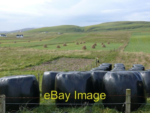 Foto 6x4 maishöcke und - 6x4,