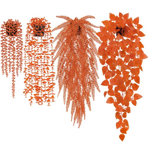 Eukalyptus hängepflanzen - eukalyptus,