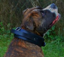 Halsband Leder Halti Schwarz