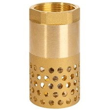 Rückschlagventil Saugkorb 1