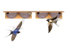 2x Doppel Schwalbennest
