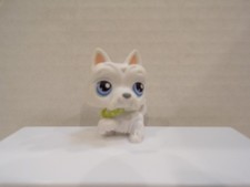 Littlest pet shop scottish - pet, shop~#24~scottish