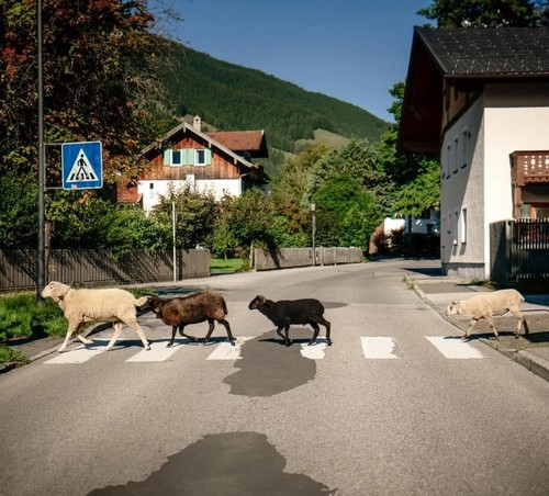 Mecht landla hean maxi - mecht,