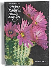 Schöne Kakteen richtig