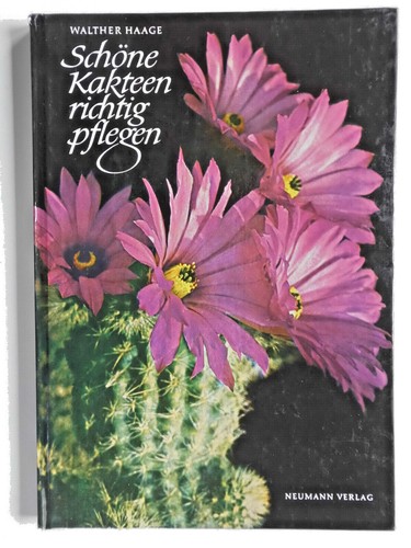 Schöne kakteen richtig - schöne,