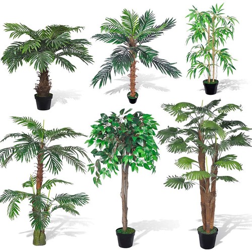 Cycaspalme kunstpalme - cycaspalme,