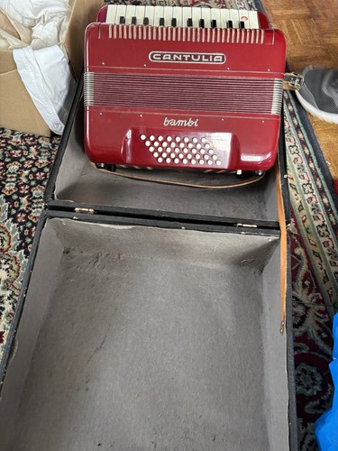 Akkordeon vintage rarität - akkordeon,