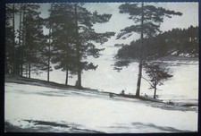 AK BEI ORTELSBURG ( SZCZYTNO )