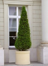 🔶 Pflanzschale Padua Sandstein 83 x 70 cm Topf Pflanztopf Steinkunst BLACKFORM