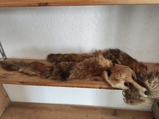 Fuchspelz stola rotfuchs fuchs - stola,