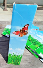 Stehsammler Pappe schmetterling wiese bunt konvolut