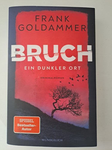 Bruch ein dunkler ort - dunkler,